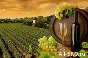  В Госдуму внесен законопроект о саморегулировании в сфере производства винограда и вина